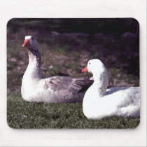Geese Mousepad