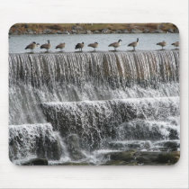 Geese mousepads