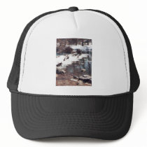 Geese on an Icy Pond hats