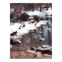 Geese on an Icy Pond posters