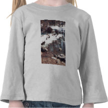 Geese on an Icy Pond Tshirts