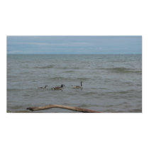 geese on lake huron business cards by secondwynd geese on lake huron business cards