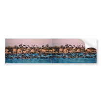 Geese on Owen's Bay, Wetlands bumper stickers by animalpark Geese on Owen's Bay, Wetlands bumper stickers