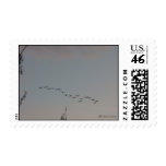 Geese on the Fly Postage