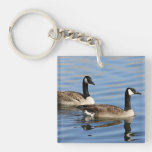 Geese on water acrylic key chains