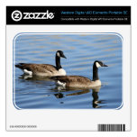 Geese on water WD elements SE skins