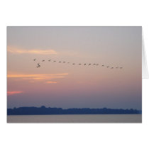 Geese over White Bear Lake cards by my_minnesota Geese over White Bear Lake cards