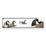 Geese Stickers Bumper Stickers