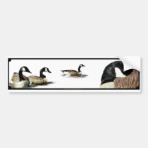 Geese Stickers Bumper Stickers