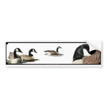 Geese Stickers bumper stickers