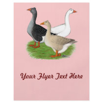 Geese:  Tufted Trio Full Color Flyer