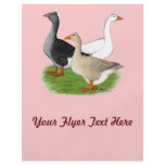 Geese:  Tufted Trio flyers