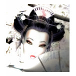 Geisha T shirt