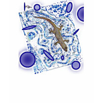 geko drip by eLiN (on front of shirt)