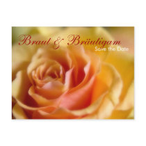 Gelbe Rose • Save the Date Postkarte postcards