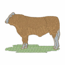 Gelbvieh
