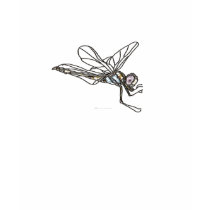 Gem Dragonfly t-shirts