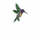 Gem Hummingbird t-shirts by Rockangel1 Gem Hummingbird t-shirts