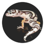 Gem Snow - Striped Bandit stickers