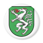 Gemeinde Steyr, Austria magnets