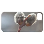 Gemelos del Catkin de CTW iPhone 5 Case-Mate Protectores
