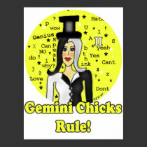 Gemini Chicks posters