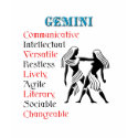 Gemini Horoscope Zodiac Sign t-shirts by all_items Gemini Horoscope Zodiac Sign t-shirts