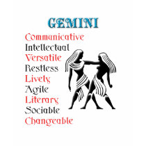 Gemini Horoscope Zodiac Sign t-shirts