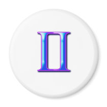 Gemini magnets
