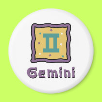 Gemini magnets