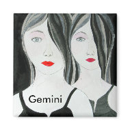 Gemini magnet