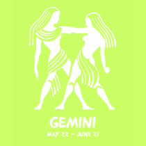 Gemini t-shirt