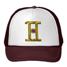 GEMINI TRUCKER HATS