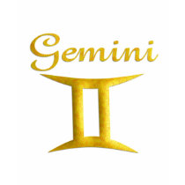 Gemini t-shirts by TLArnold3 Gemini t-shirts