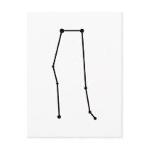 Gemini Zodiac Postcard postcards