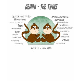 Gemini - Zodiac Twins shirt