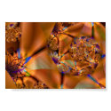 Gems For You posters by bragova Gems For You posters