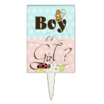 Gender Reveal Party Cake Topper Boy or Girl?