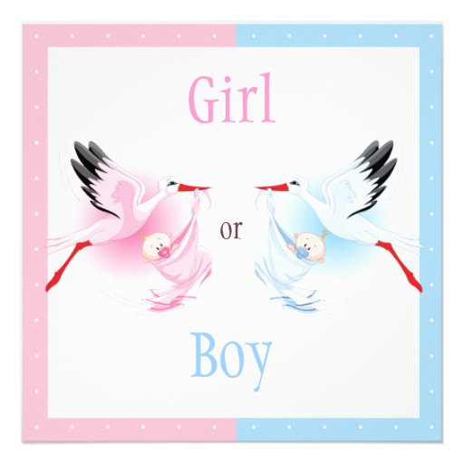 Gender Reveal Party Stork Delivering Baby Invite