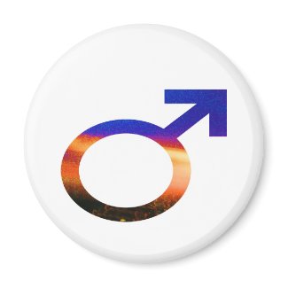 Gender Signs - Male magnet