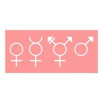Gender Symbols Poster posters