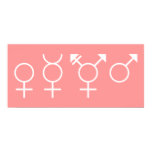 Gender Symbols Poster