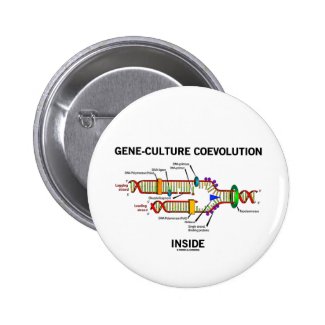 Gene-Culture Coevolution Inside (DNA Replication) Pins