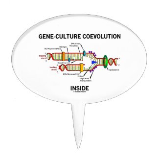 Gene-Culture Coevolution Inside (DNA Replication) Cake Toppers