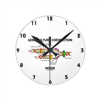 Gene-Culture Coevolution Inside (DNA Replication) Round Clock