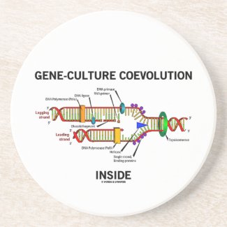 Gene-Culture Coevolution Inside (DNA Replication) Beverage Coasters
