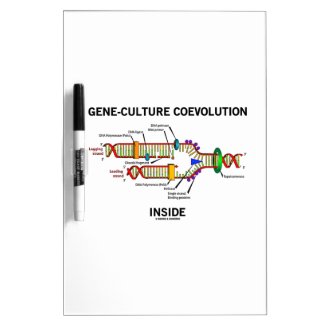 Gene-Culture Coevolution Inside (DNA Replication) Dry-Erase Whiteboard
