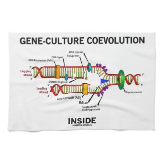 Gene-Culture Coevolution Inside (DNA Replication) Towels