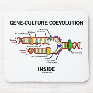 Gene-Culture Coevolution Inside (DNA Replication) Mouse Pad