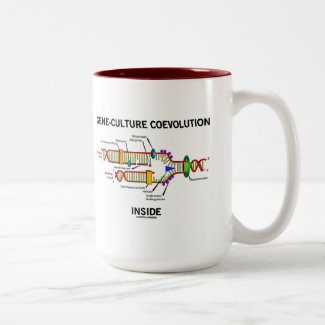 Gene-Culture Coevolution Inside (DNA Replication) Mugs